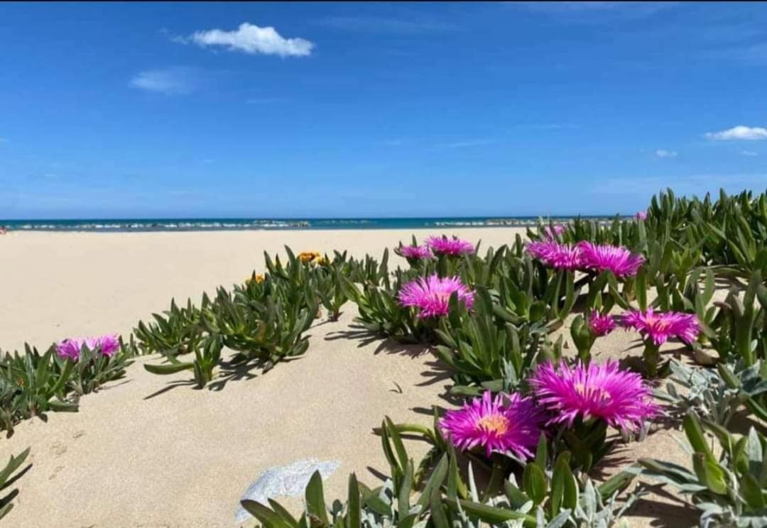 Marea Il Tuo Angolo Di Paradiso In Sicilia Ti Aspetta Prenota Ora E Vivi La Magia Del Mediterraneo Alcamo Marina Eksteriør billede